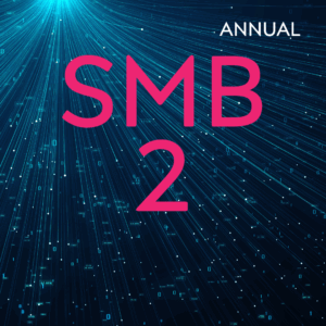 SMB 2 Hosting (Annual)