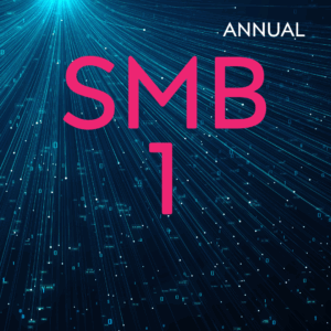 SMB 1 Hosting (Annual)